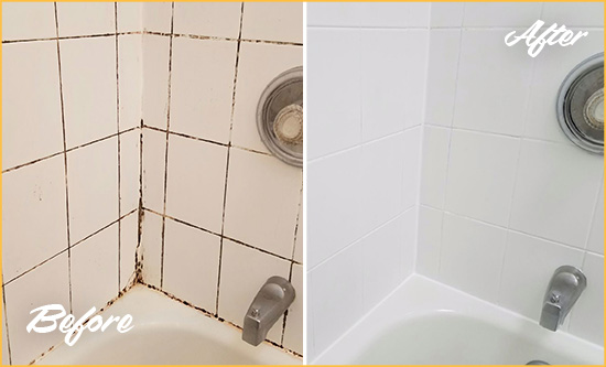 Before and After Picture of a Brooks Tub Grout Cleaned to Eliminate Mold