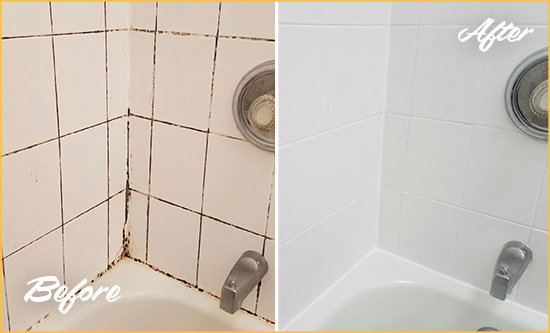 Before and After Picture of a Senoia Shower Tile and Grout Cleaned to Eliminate Mold