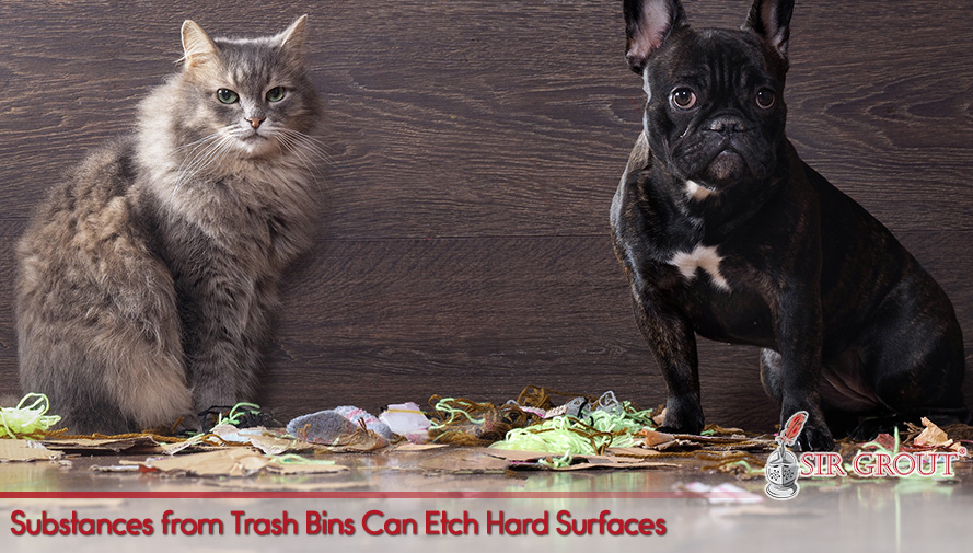 Substances from Trash Bins Can Etch Hard Surfaces