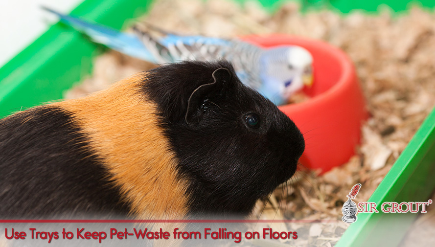 Use Trays to Keep Pet-Waste from Falling on Floors